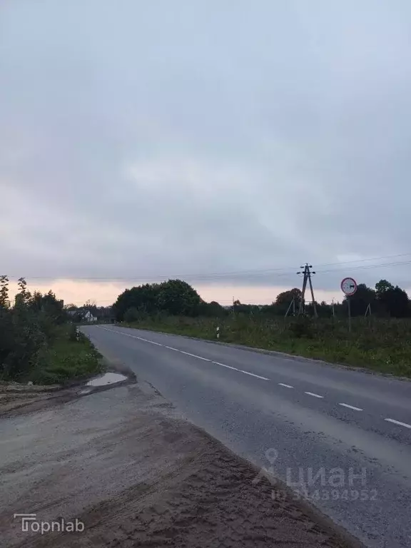 Участок в Калининградская область, Зеленоградский муниципальный округ, ... - Фото 1