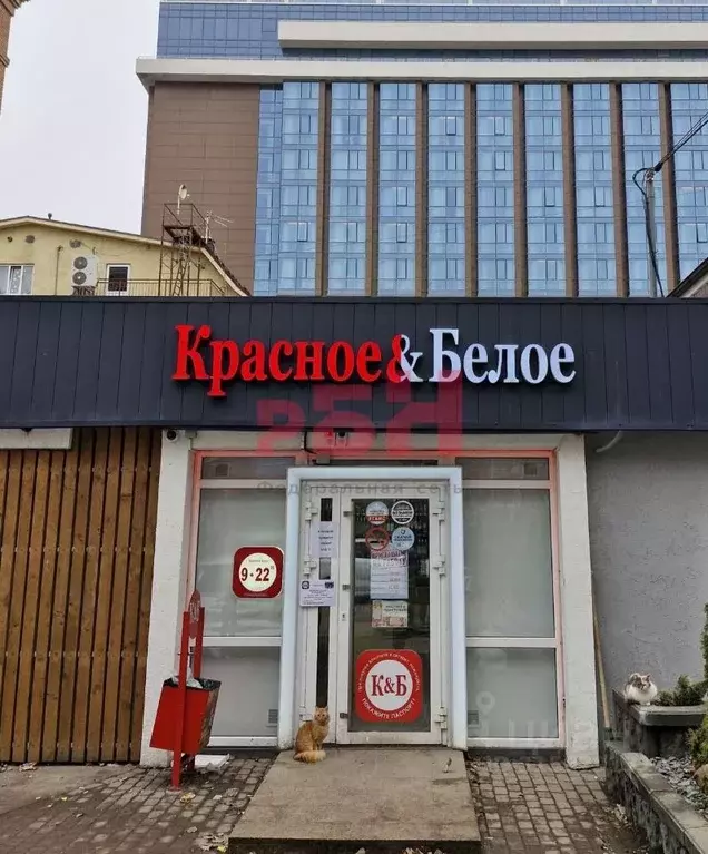 Торговая площадь в Ростовская область, Ростов-на-Дону Крепостной пер., ... - Фото 0