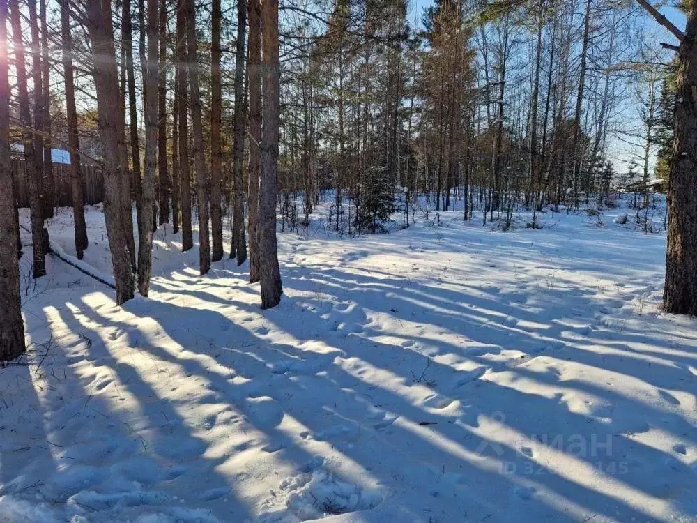 Участок в Иркутская область, Шелеховский район, Шаманское ... - Фото 1