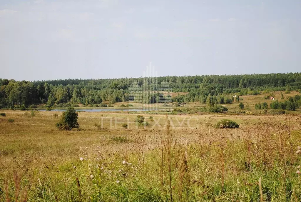 участок в владимирская область, судогодский район, андреевское . - Фото 1