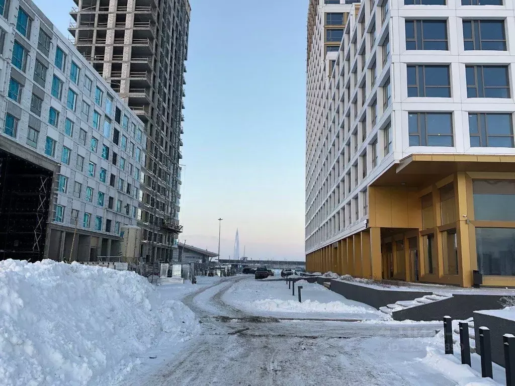 Помещение свободного назначения в Санкт-Петербург ул. Челюскина, 8 ... - Фото 2