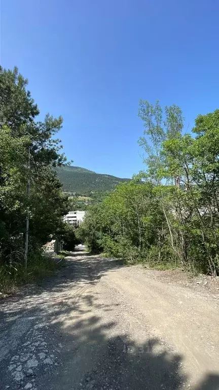 Участок в Крым, Ялта муниципальный округ, Виноградное пгт ул. Красина, ... - Фото 1