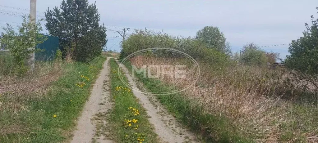 Участок в Калининградская область, Калининград Родник СНТ, ул. Дачная, ... - Фото 0