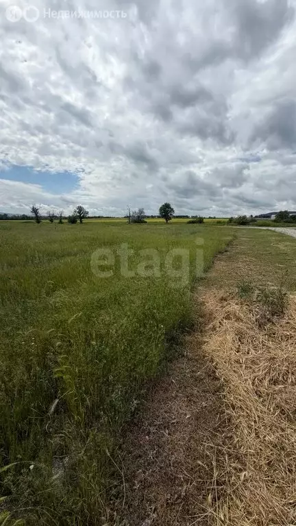 Участок в Белогорск, улица Муарема Мартынова (8 м) - Фото 1