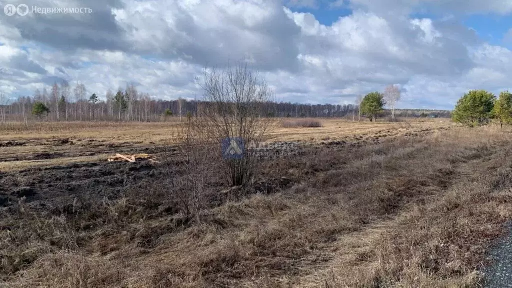 Участок в Нижнетавдинский район, деревня Штакульская (7.56 м) - Фото 0