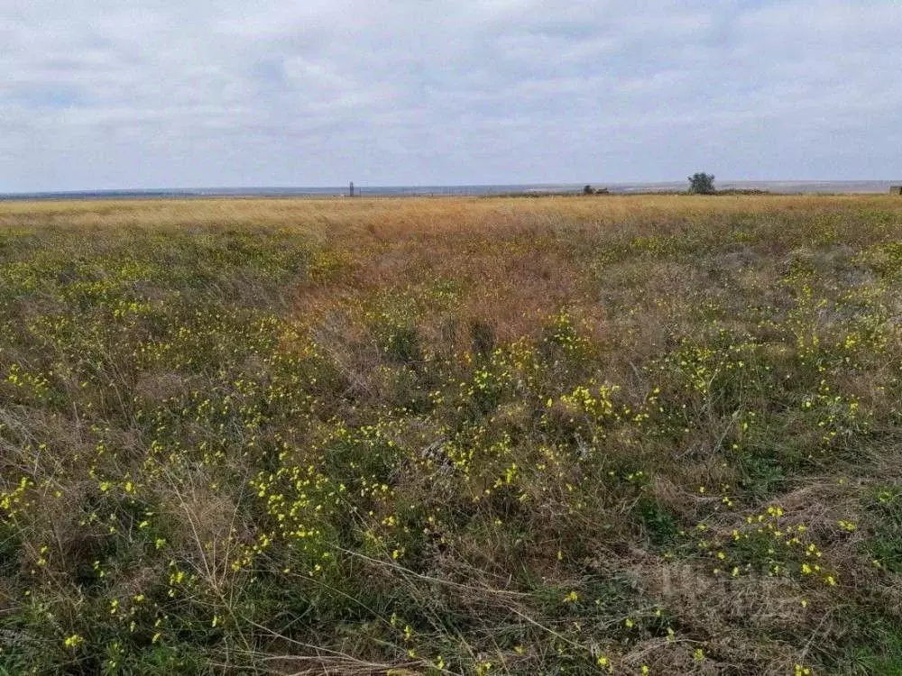 Участок в Крым, Евпатория городской округ, Мирный пгт проезд Коса ... - Фото 1