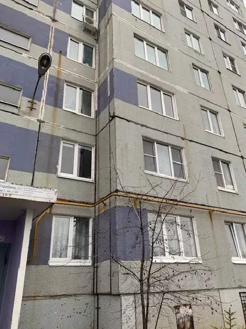 3-к кв. Самарская область, Тольятти ул. Академика Скрябина, 13 (66.2 ... - Фото 1