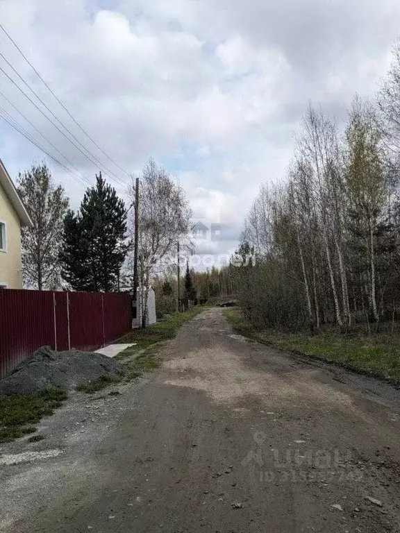 Участок в Свердловская область, Белоярский муниципальный округ, ... - Фото 1
