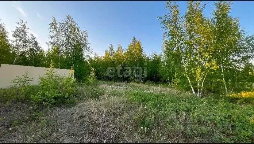 Участок в Саха (Якутия), Покровск  (9.24 сот.) - Фото 0