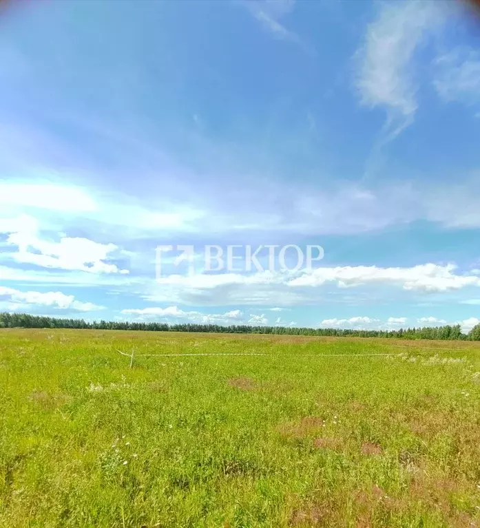 Участок в Костромская область, Кострома  (8.0 сот.) - Фото 2