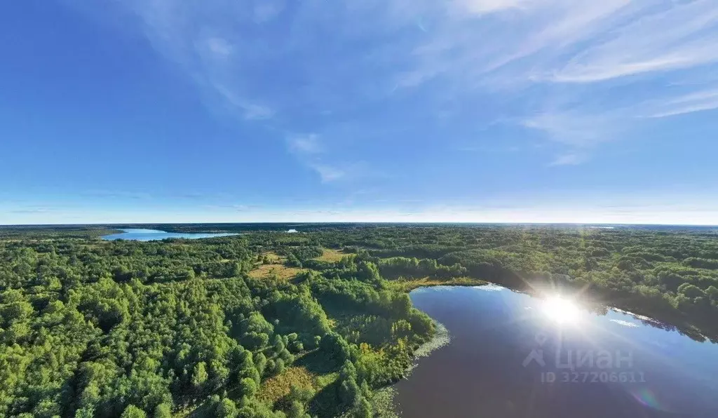 Участок в Тверская область, Вышний Волочек  (91.5 сот.) - Фото 1