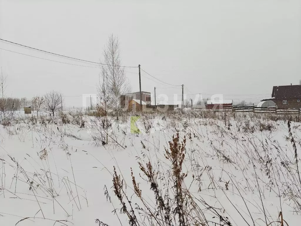 Участок в Томская область, Томский район, Поселок Зональная ст., ... - Фото 2