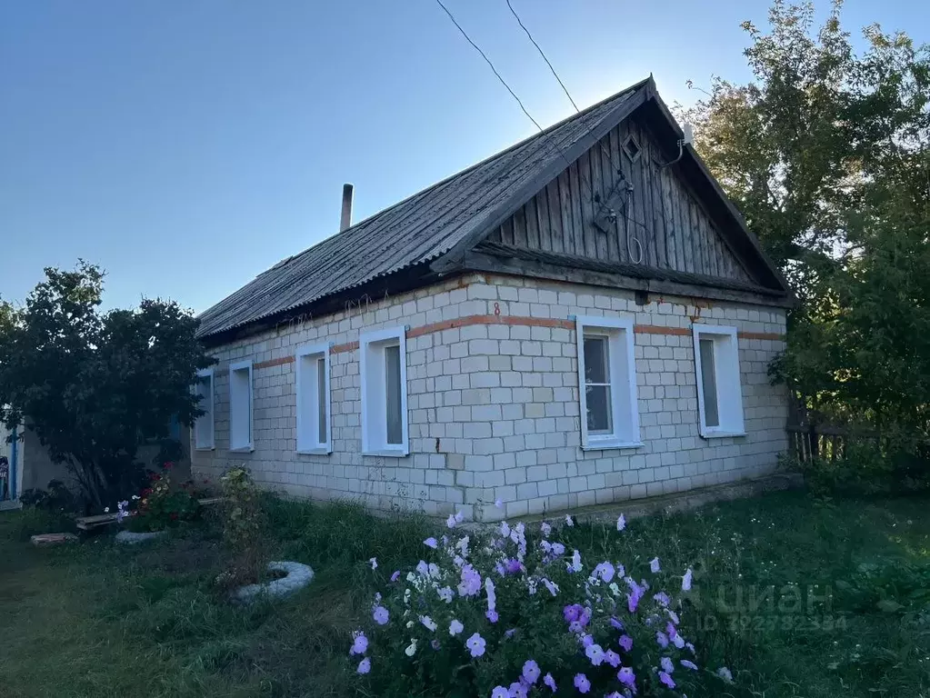 Дом в Алтайский край, Славгород муниципальный округ, пос. Андреевка ... - Фото 1