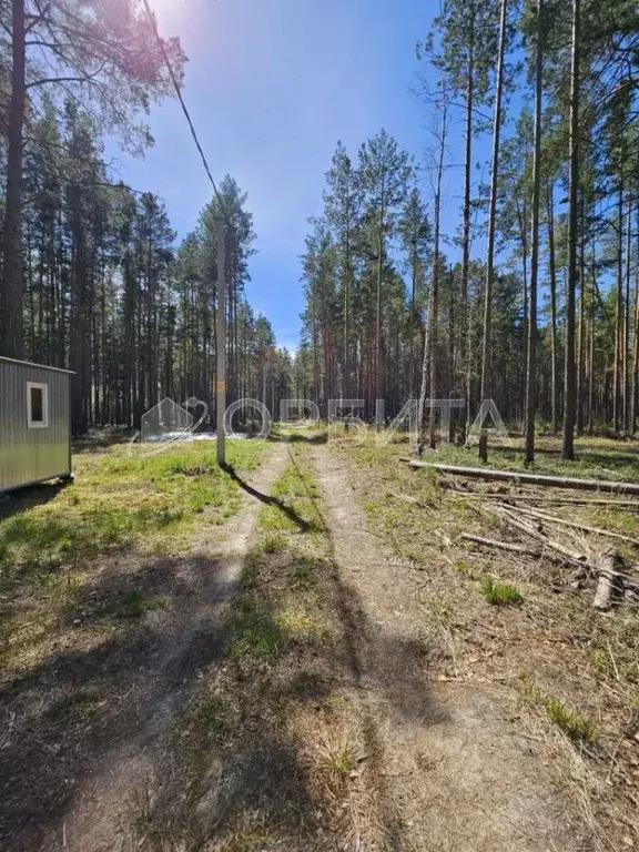 Участок в Тюменская область, Тюменский муниципальный округ, д. ... - Фото 2