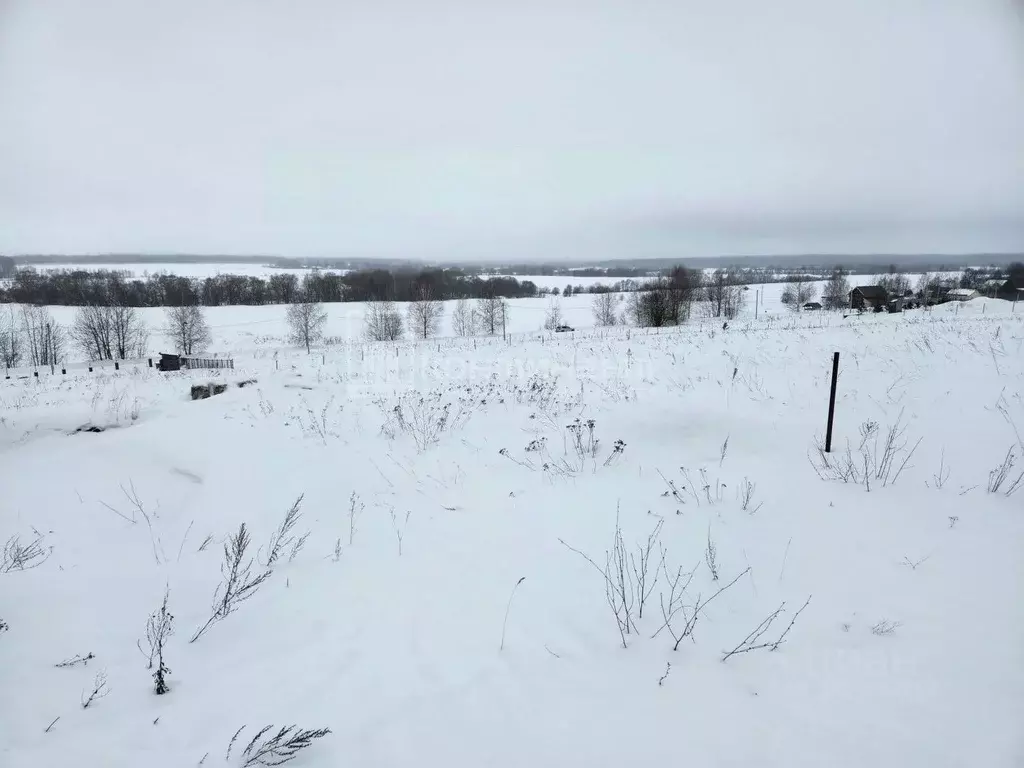 Участок в Владимирская область, Собинский муниципальный округ, д. ... - Фото 2
