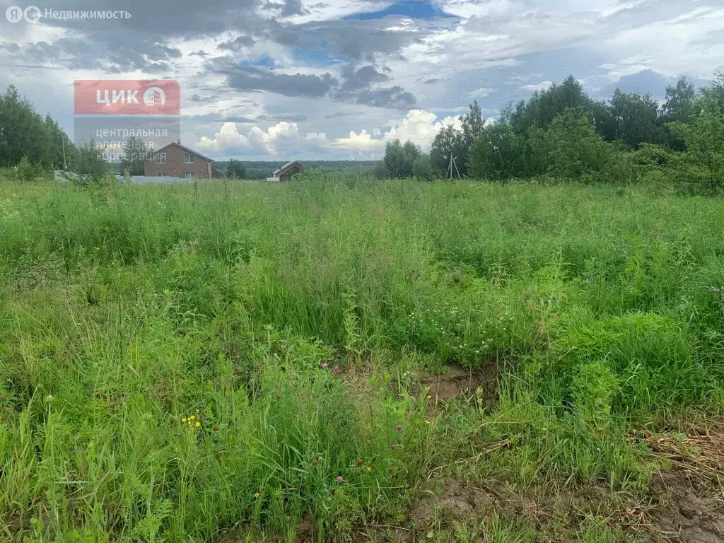 Участок в Рязанский район, Вышгородское сельское поселение, село ... - Фото 1