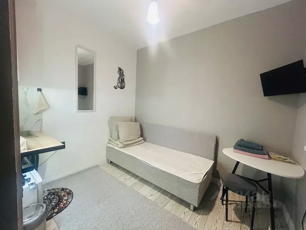 Студия Московская область, Истра ул. Ленина, 129 (15.0 м) - Фото 1