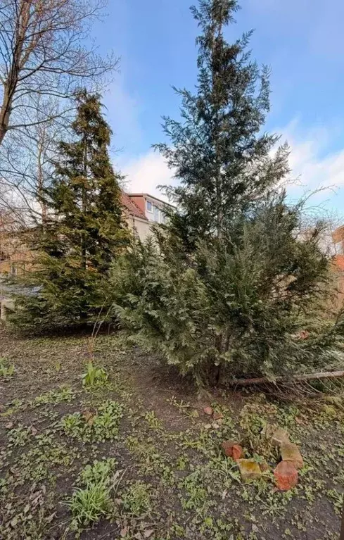 Таунхаус в Калининградская область, Калининград Ремонтная ул., 20 (110 ... - Фото 2