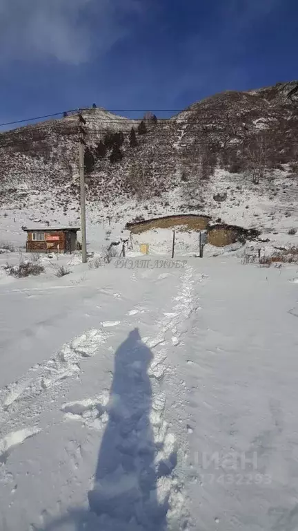 Участок в Алтай, Майминский район, с. Манжерок Подгорная ул. (11.73 ... - Фото 1