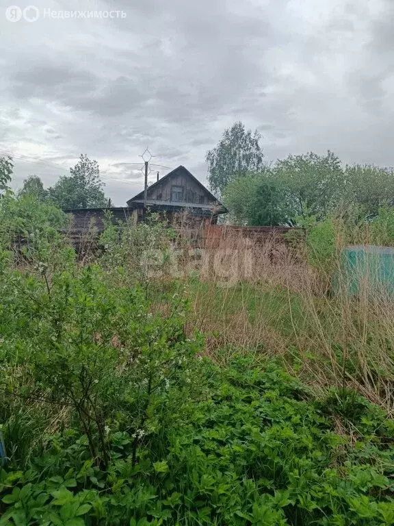 Участок в Смоленский район, Верх-Обский сельсовет, село Иконниково, ... - Фото 0