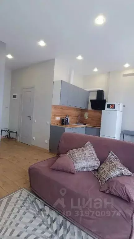 Студия Краснодарский край, Сочи ул. Ленина, 298В (31.0 м) - Фото 0