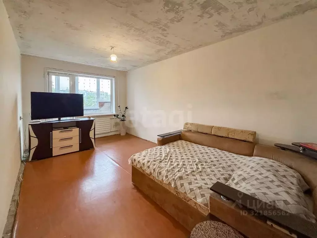 1-к кв. Псковская область, Псков Коммунальная ул., 63 (33.2 м) - Фото 1