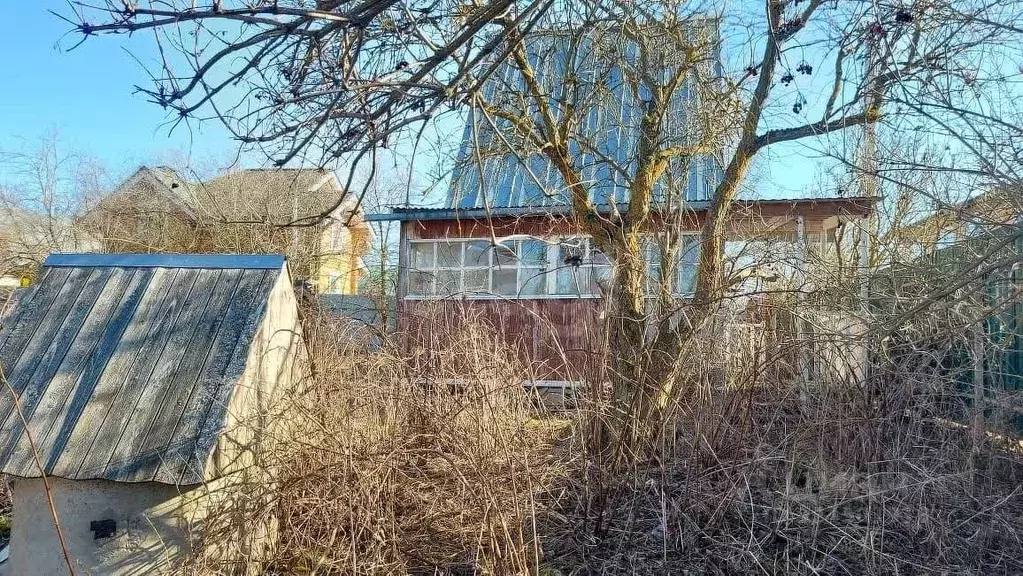 Участок в Калужская область, Жуковский муниципальный округ, с. ... - Фото 1