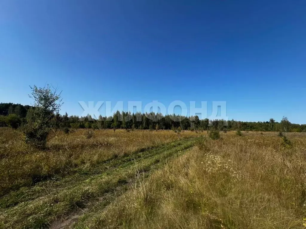 Участок в Воронежская область, Бобров ул. Имени Кирова (1000000.0 ... - Фото 2