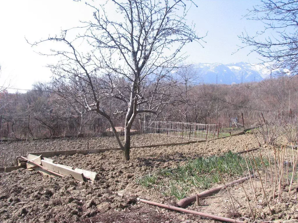 Участок в Крым, Ялта муниципальный округ, Гурзуф пгт ул. Ялтинская, 1 ... - Фото 1