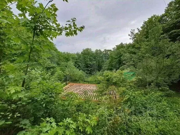Участок в Краснодарский край, Геленджик муниципальное образование, с. ... - Фото 0