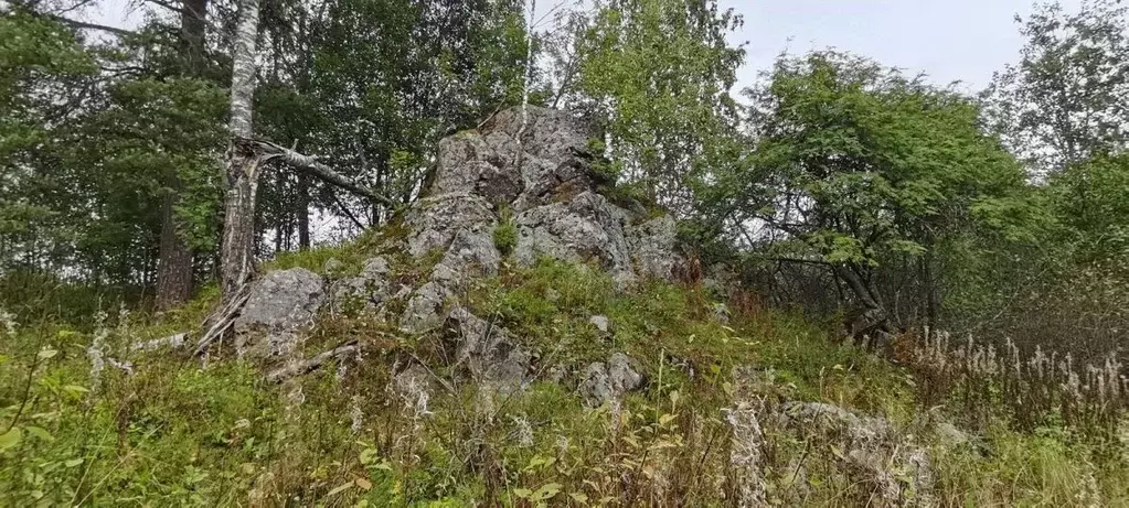 Участок в Карелия, Лахденпохский муниципальный округ, пос. Терваярви ... - Фото 2