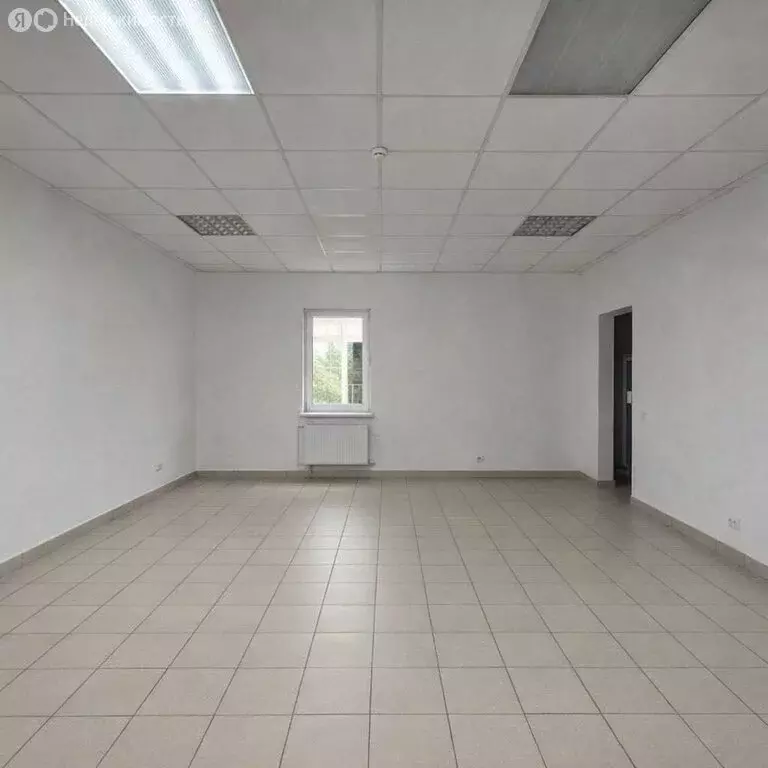 Помещение свободного назначения (45.3 м) - Фото 1