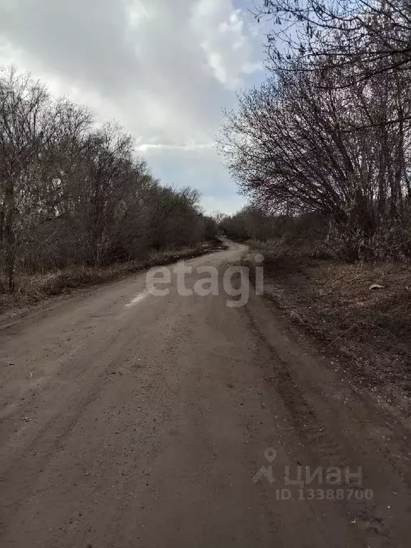 Участок в Курганская область, Далматово Советская ул. (15.0 сот.) - Фото 1