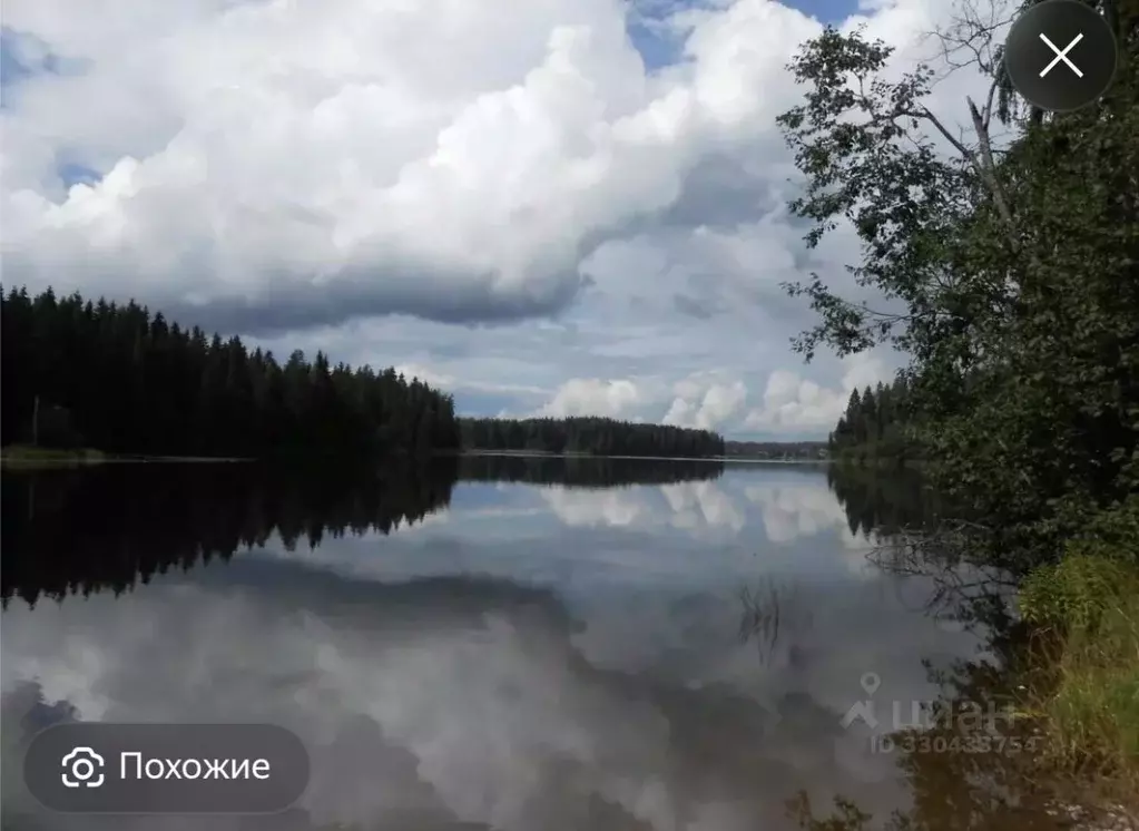 Участок в Новгородская область, Валдайский муниципальный район, ... - Фото 1