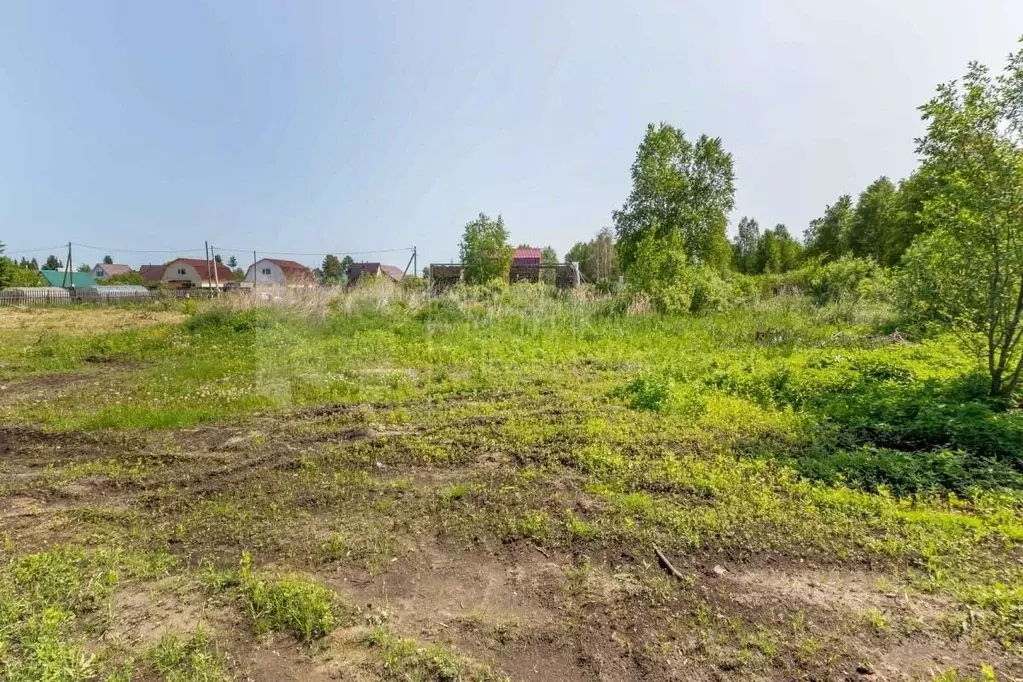 Участок в Тюменская область, Тюмень Якорь садовое товарищество, ул. ... - Фото 1