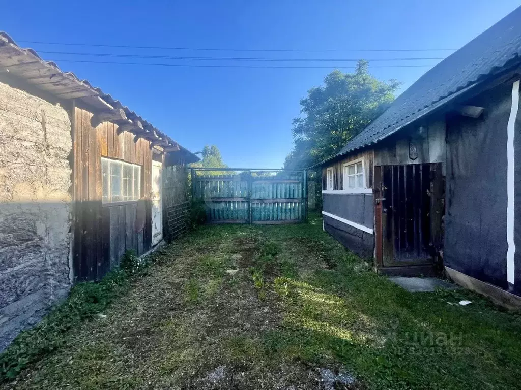 Дом в Псковская область, Островский муниципальный округ, д. Решеты, д. ... - Фото 1