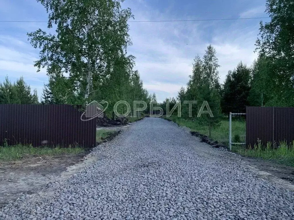 Участок в Тюменская область, Тюмень Звенящие Кедры Тюмени ТСН,  (10.0 ... - Фото 2