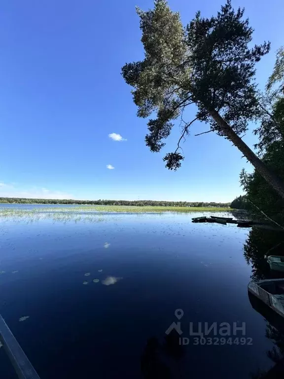 Дом в Ленинградская область, Выборгский район, Рощинское городское ... - Фото 1