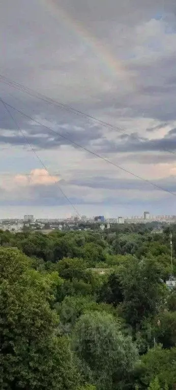 1-к кв. Нижегородская область, Нижний Новгород Трудовая ул., 8 (135.0 ... - Фото 0