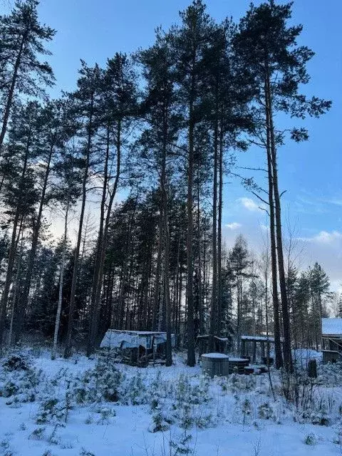 Дом в Ленинградская область, Всеволожское городское поселение, СОСН ... - Фото 0