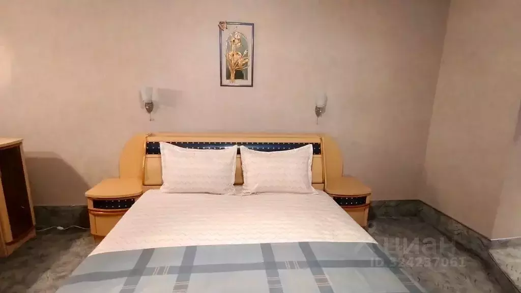 2-к кв. Самарская область, Самара Ново-Садовая ул., 106б (64.0 м) - Фото 1