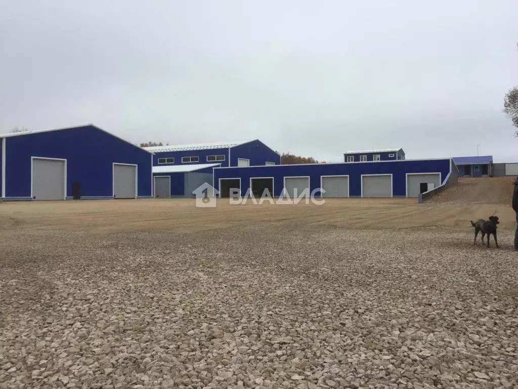 Производственное помещение в Калужская область, Село Ферзиково с/пос, ... - Фото 2