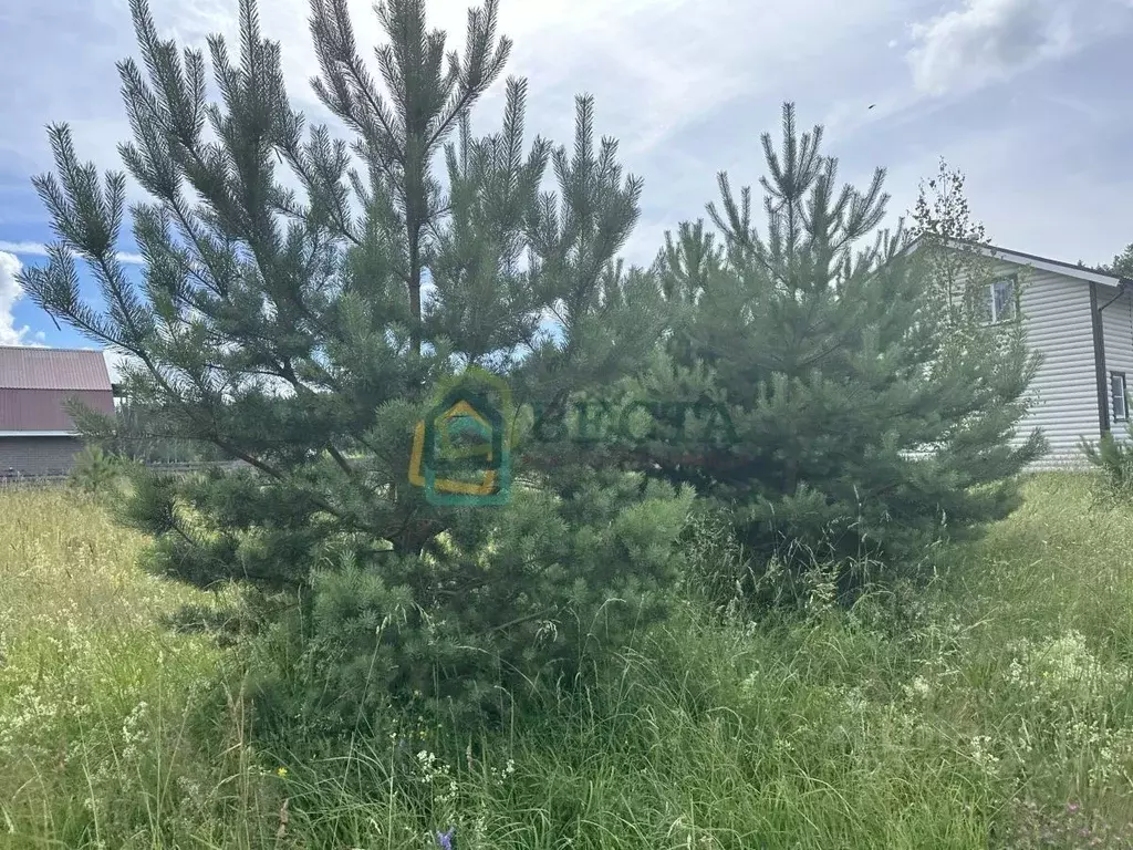 Участок в Ленинградская область, Выборгский район, Рощинское городское ... - Фото 1