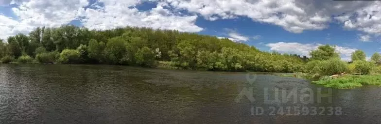 Участок в Тульская область, Ефремовский муниципальный округ, д. ... - Фото 1