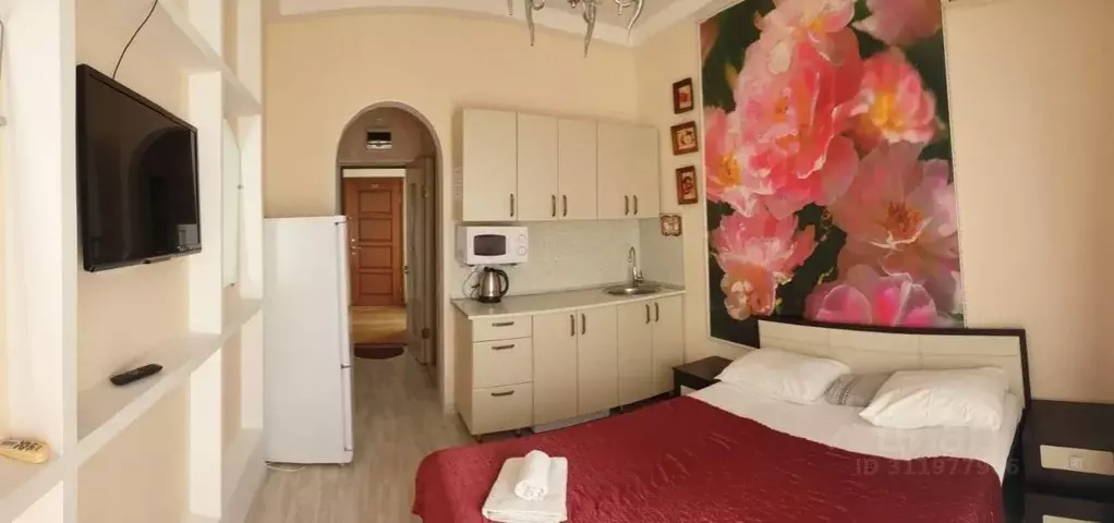 1-к кв. Краснодарский край, Сочи Курортный просп., 75к1 (22.0 м) - Фото 1