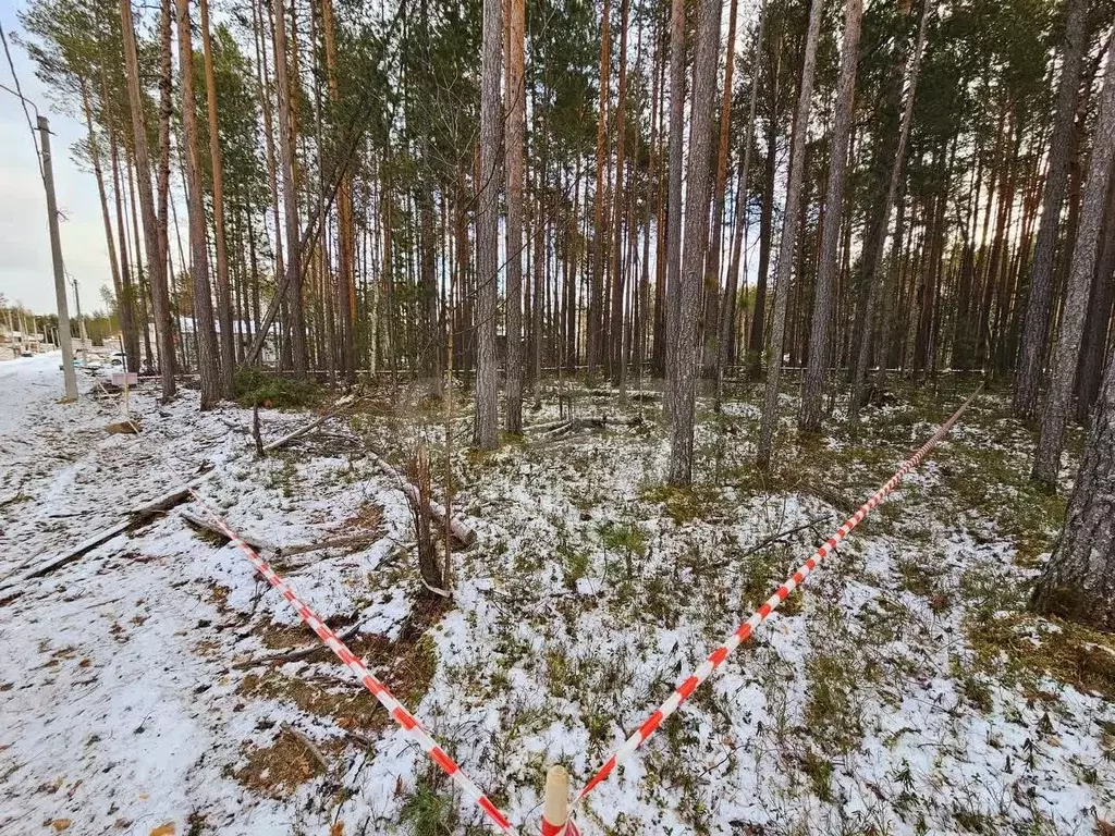 Участок в Ханты-Мансийский АО, Сургут Маяк СНТ, ул. Аничковская (7.5 ... - Фото 1