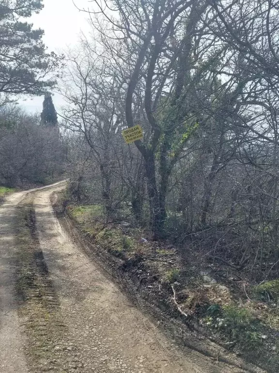 Участок в Крым, Ялта городской округ, Массандра пгт ш. ... - Фото 0