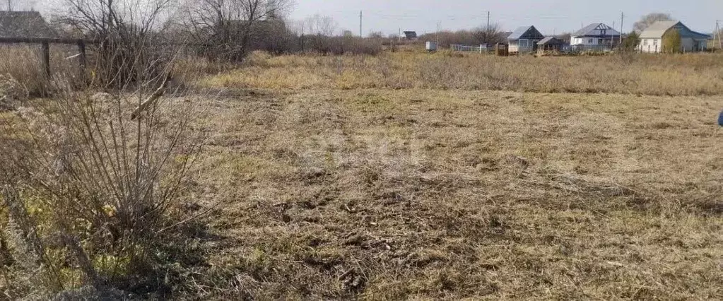 Участок в Амурская область, Благовещенский район, с. Усть-Ивановка  ... - Фото 0
