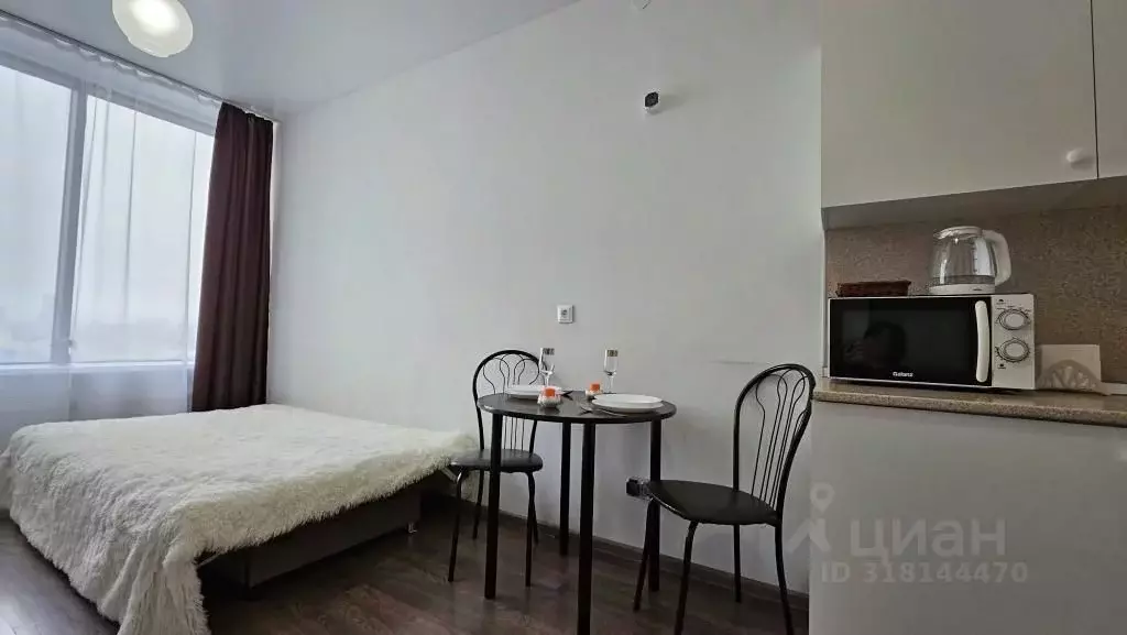 1-к кв. Свердловская область, Екатеринбург ул. Малышева, 42 (24.0 м) - Фото 1