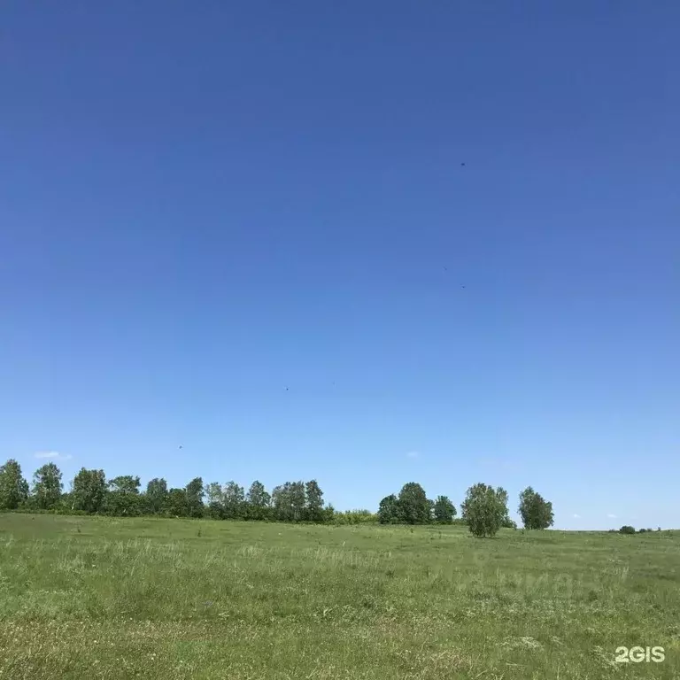 Участок в Башкортостан, Чишминский район, д. Арово Родниковая ул., 26А ... - Фото 1